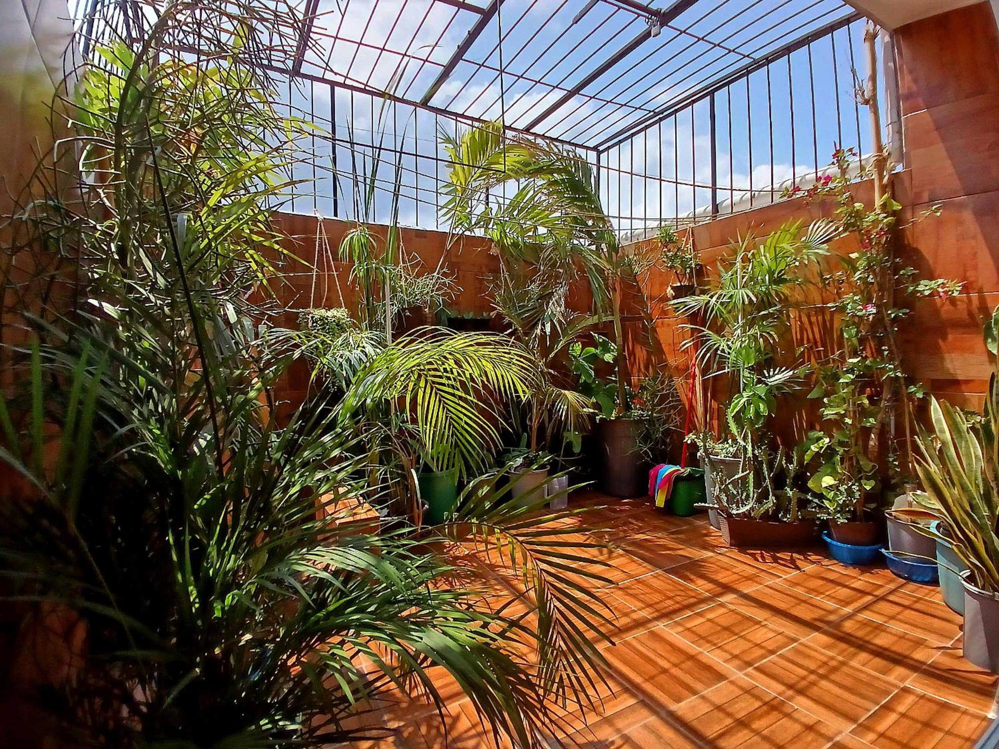 Casa Del Chef Lupita Villa Campeche Buitenkant foto